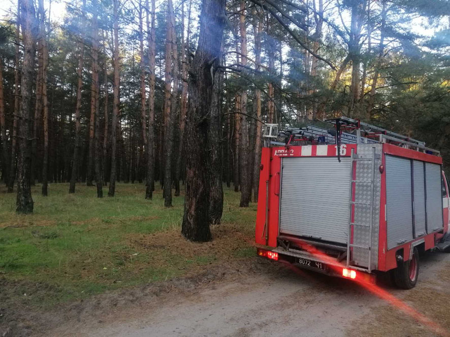 Кременчугский район: спасатели присоединились к поиску пропавшего в лесу