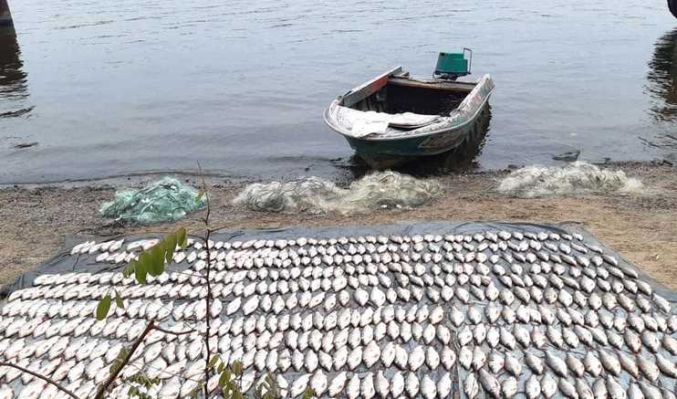 На Полтавщине рыбак незаконно выловил рыбы на сумму около 45 тысяч гривен