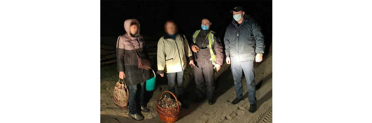 В лесу на Полтавщине нашли двух пропавших женщин 