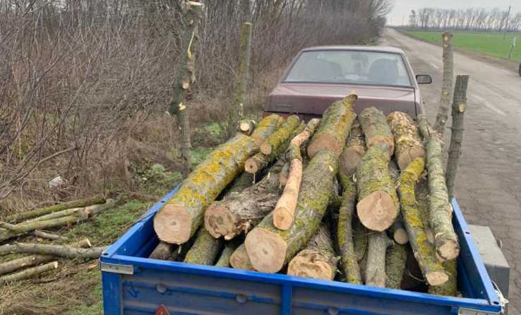 На Полтавщине полиция разоблачила попытку кражи древесины в Глобинском районе