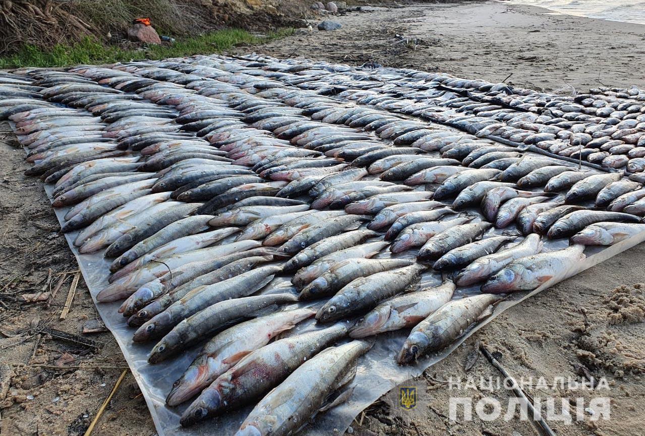 На Полтавщине у браконьера изъяли около 100 килограммов рыбы