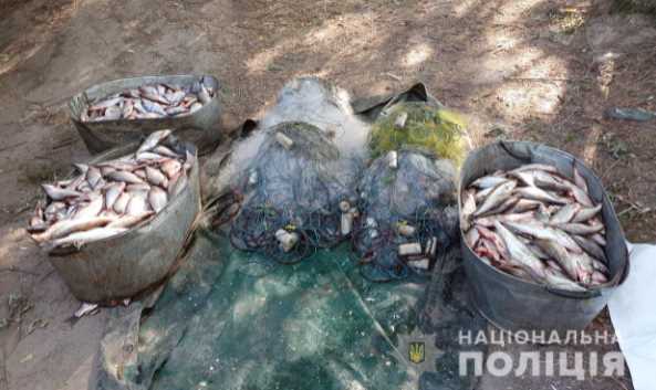 На Полтавщине водные полицейские обнаружили около 300 килограммов незаконно выловленной рыбы
