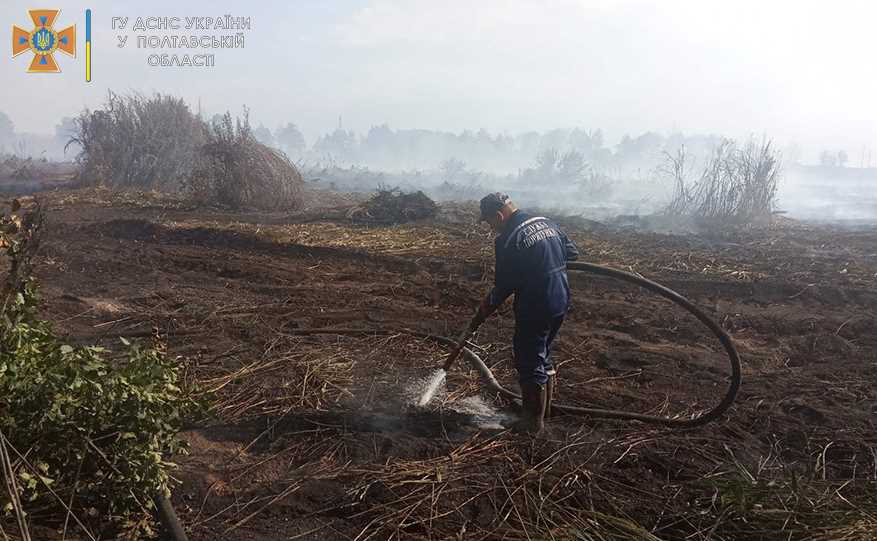 В Миргороде спасатели ликвидируют пожар поверхностных залежей торфа