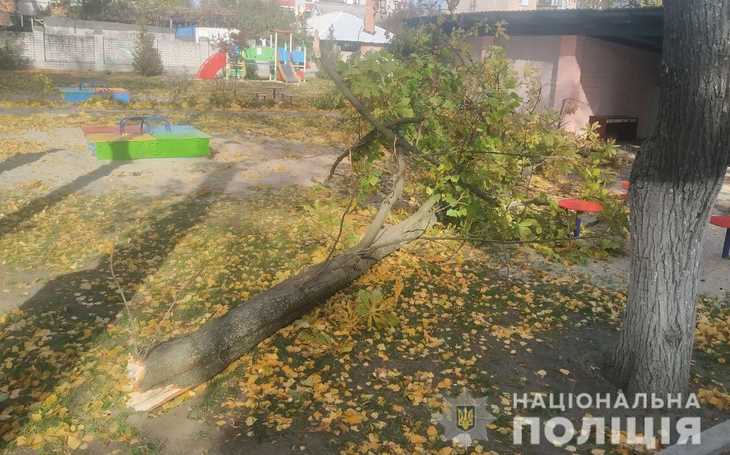 В Кременчуге в детском саду на детей упало дерево