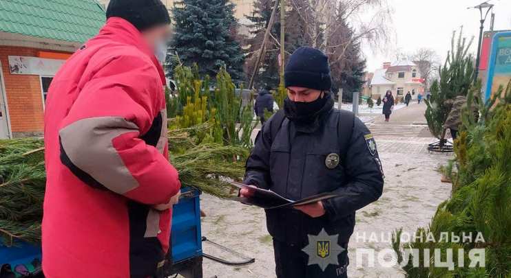 «Елочные» рейды на Полтавщине: в отношении нарушителей правил торговли хвойными составлено более полусотни административных материалов