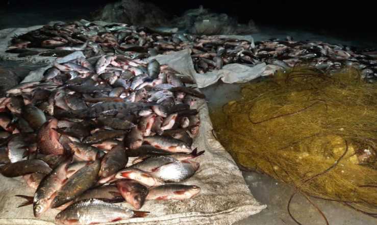 На Полтавщине водные полицейские обнаружили рыбаков с незаконным уловом на сумму более миллиона гривен