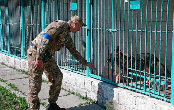 Кинологический центр полиции Полтавщины стал надежным убежищем для служебных собак, эвакуированных из Харьковщины