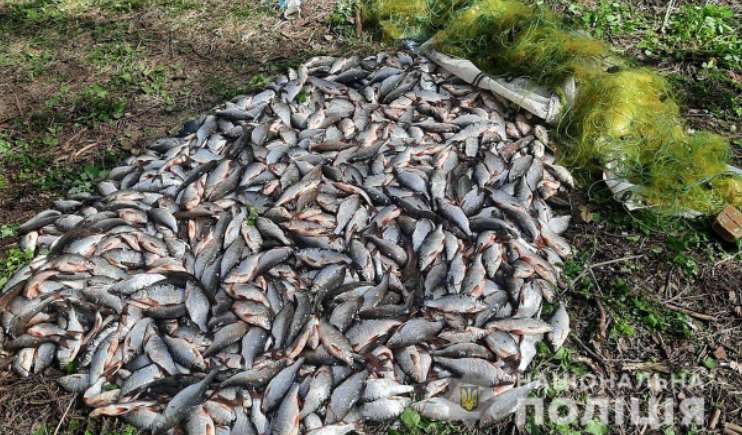 На Полтавщине полиция совместно с экологами обнаружили браконьера с незаконным уловом более чем на 1,7 миллиона гривен