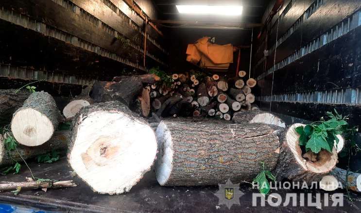 На Полтавщине полиция пресекла противоправную деятельность группы лиц, которые осуществляли незаконную вырубку леса