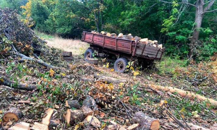 На Полтавщине полиция пресекла противоправную деятельность мужчины, который незаконно вырубал лес