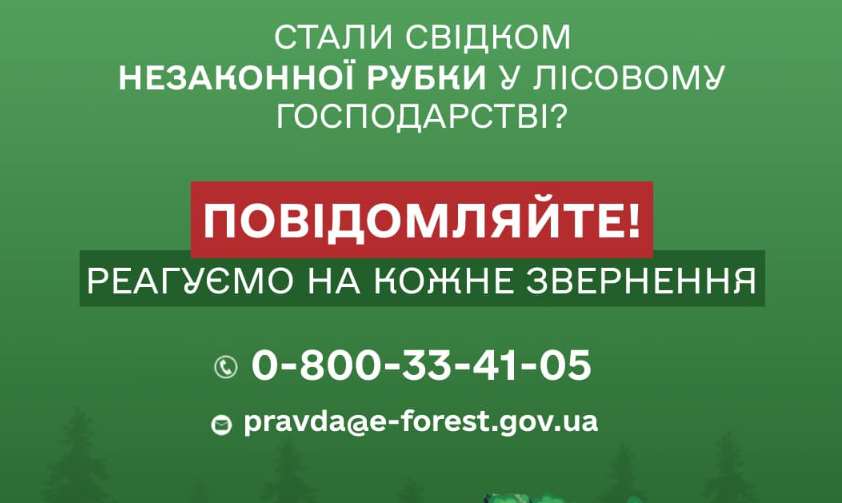 Про незаконні вирубки лісу мешканці Полтавщини можуть повідомити на гарячу лінію