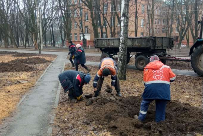 Специалисты КП "Декоративные культуры" продолжают высадку новых деревьев