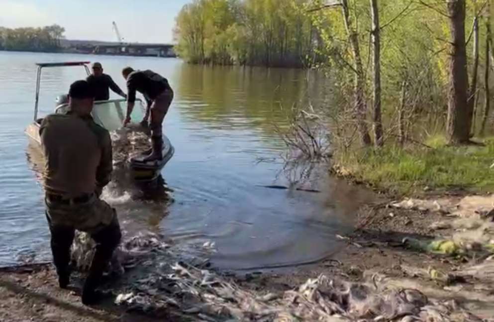 На Полтавщине водная полиция изъяла из акватории Сулинского залива почти 3 километра браконьерских сетей с рыбой