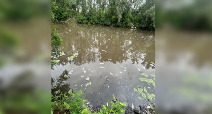 На Полтавщине полиция начала расследование по факту нарушения правил охраны вод в Кременчугском районе