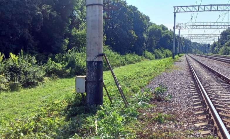 Поліція Полтавщини встановлює обставини загибелі чоловіка, якого покусали комахи