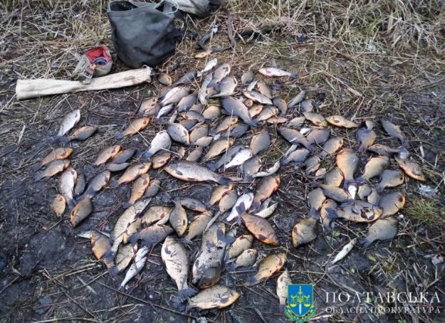 На Полтавщині браконьєр ловив червонокнижну рибу