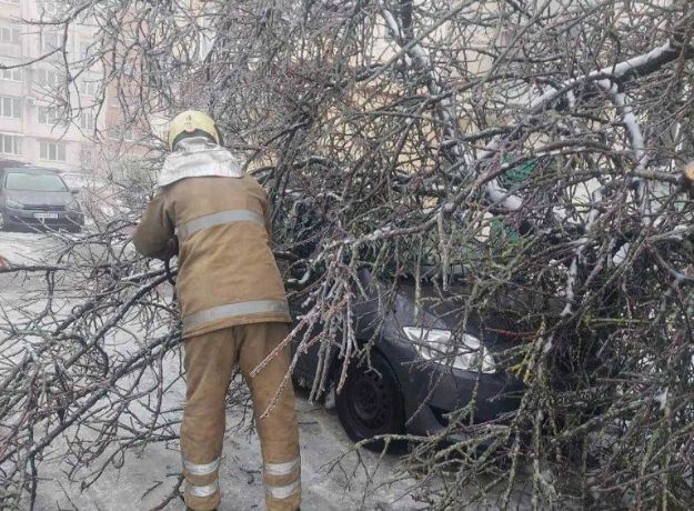 В Полтаве из-за непогоды упали деревья на дороги и машины