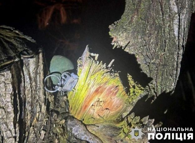 В Кременчугском районе на дереве нашли гранату