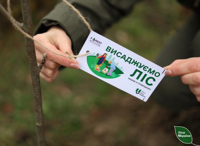 В громаді на Полтавщині висадять 20 га нового лісу