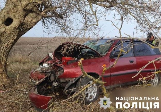 На Полтавщине легковушка влетела в дерево: водитель погиб