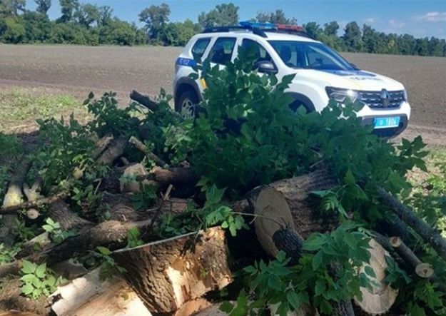 Шериф громады разоблачил группу людей, которые незаконно рубили деревья на Полтавщине