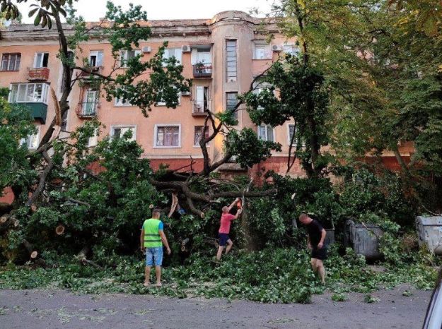 У центрі Полтави впав віковий дуб