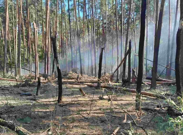 На Полтавщині продовжують гасити дві масштабні пожежі