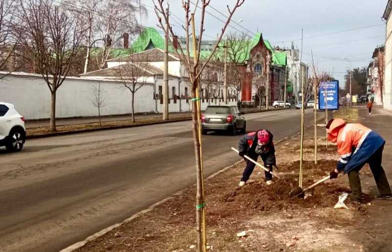 В Полтаве высадили сакуры