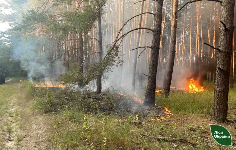 Загасили сьому пожежу: на Полтавщині знову палав ліс через дрон