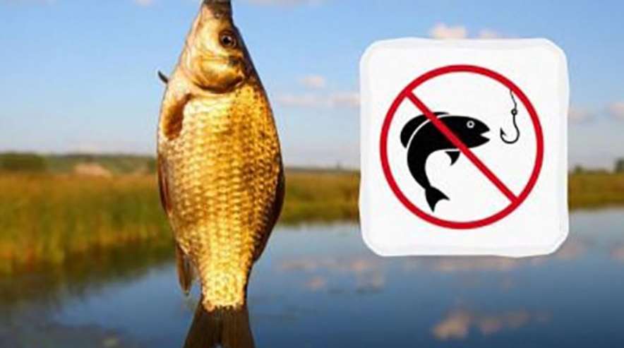 Зимний запрет продлится до нереста