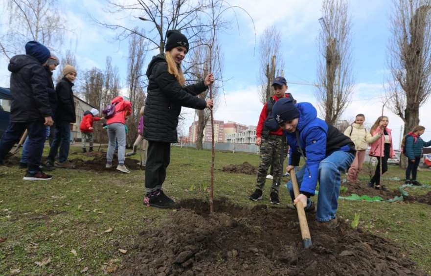 Учащиеся Полтавщины высадили более 6 тысяч саженцев