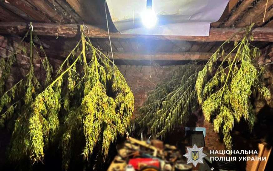 В Оржиччине полиция изъяла почти 6 кг наркотиков