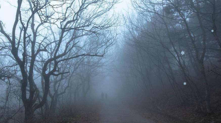 В Полтавской области объявили предупреждение о густом тумане