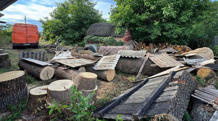 В Лубенском районе разоблачена группа, которая незаконно вырубала дубы