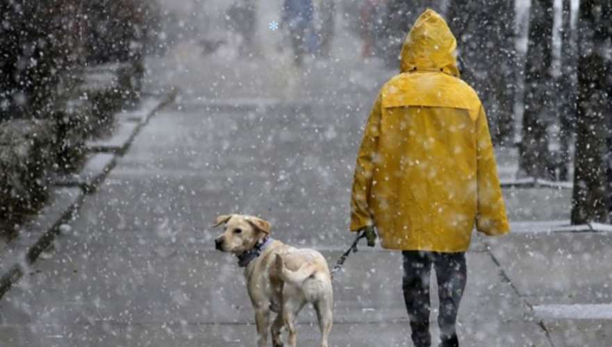 Мокрый снег, туманы и гололед: Полтавскую область ждет сложная погода в конце недели