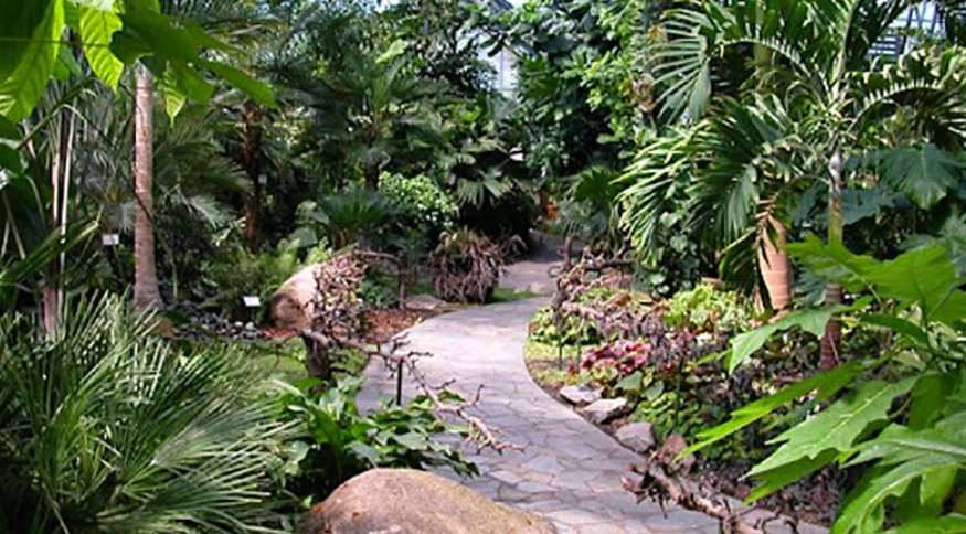 Крупнейшая в Европе оранжерея погибает от холода