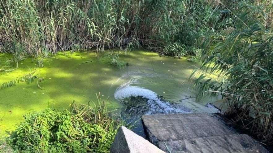 В Полтавской области суд рассмотрит дело о загрязнении реки Орчик