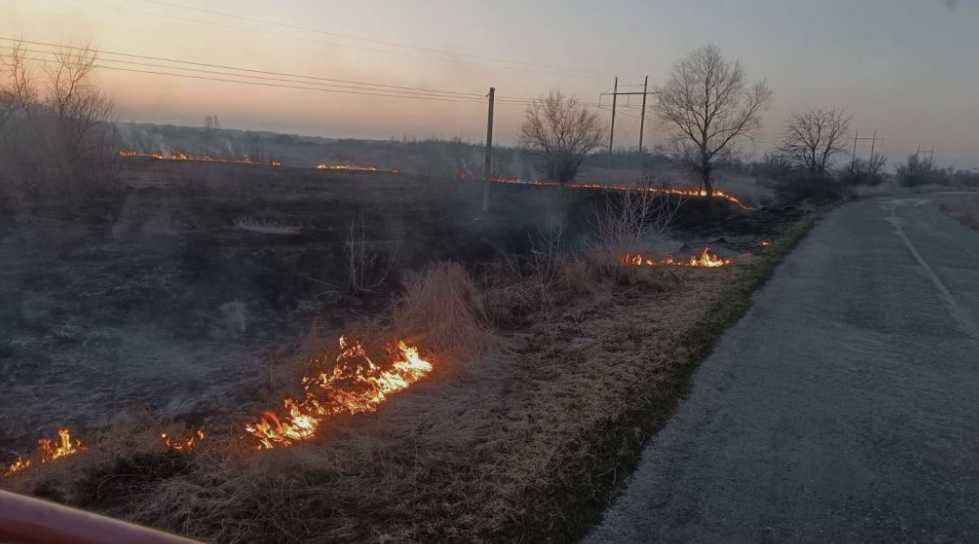 На Полтавщині рятувальники за добу загасили п’ять займань сухої рослинності