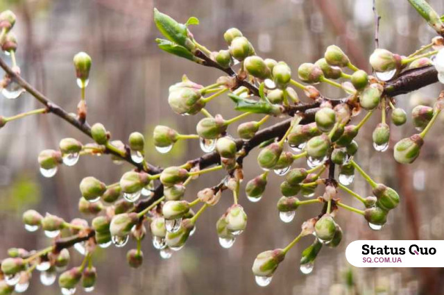 Великодні вихідні на Полтавщині будуть холодними та дощовими