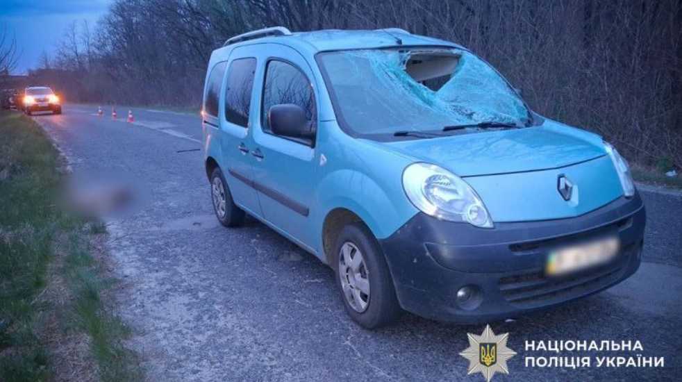 В Полтавской области автомобиль столкнулся с косулей: пострадал ребенок