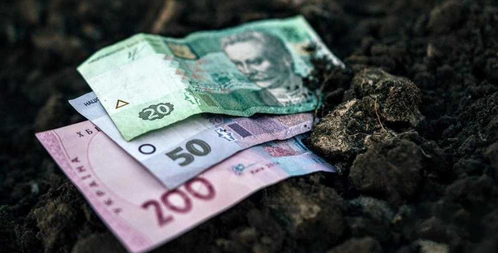 Полтавщина — у «золотій середині» за вартістю землі