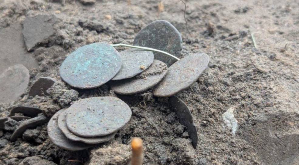 Археологи заповідника «Більськ» відкопали скарб монет XIV століття