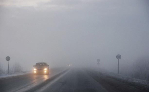 26 февраля на Полтавщине ожидается туман