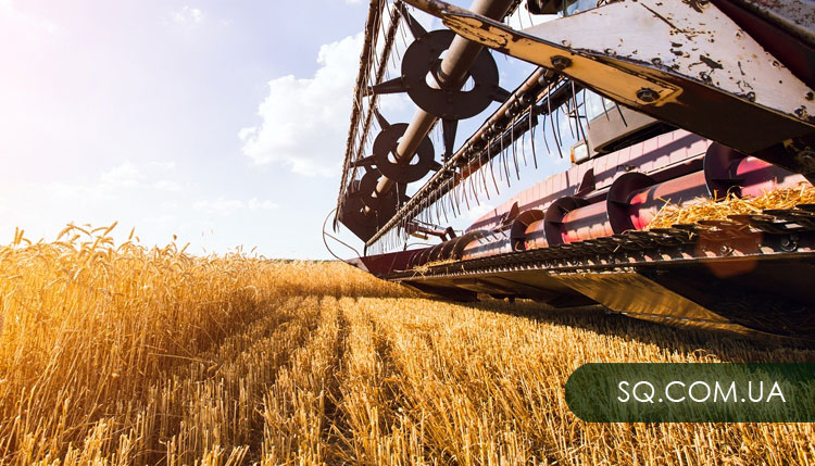 Аграрии области намолотили пять миллионов тонн зерновых