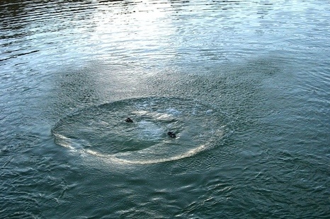 В Миргороде в водоемах купаться можно: кишечная палочка в пределах нормы